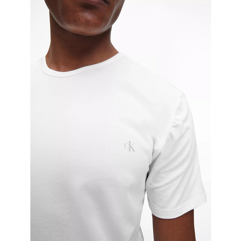 Pánské spodní prádlo S/S CREW NECK 2PK 000NB2221A100 - Calvin Klein