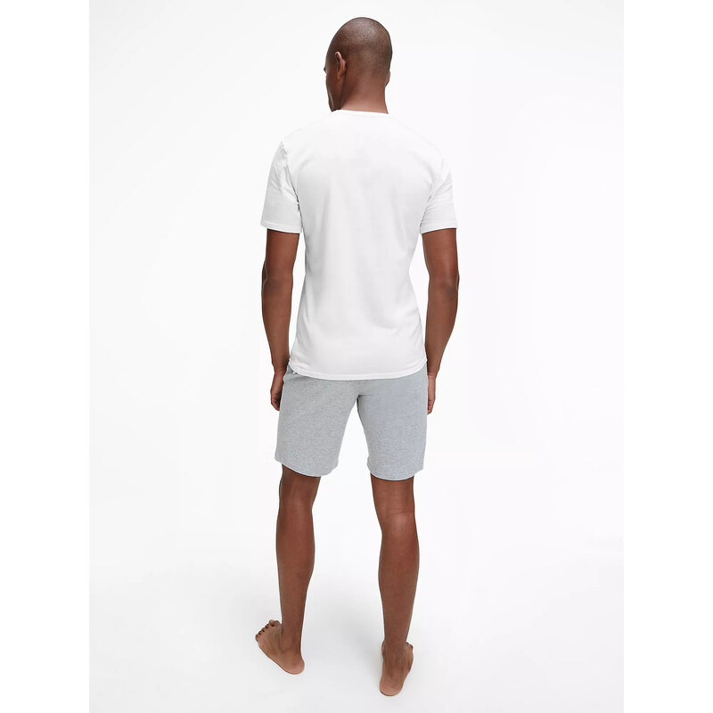 Pánské spodní prádlo S/S CREW NECK 2PK 000NB2221A100 - Calvin Klein