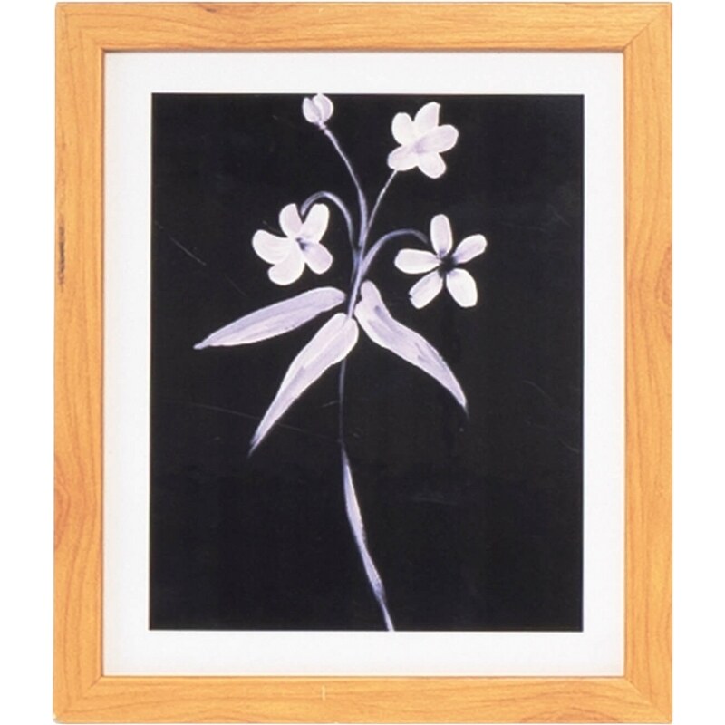 Obraz Somcasa Lily 30 x 25 cm