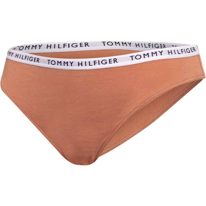 3PACK dámské kalhotky Tommy Hilfiger vícebarevné