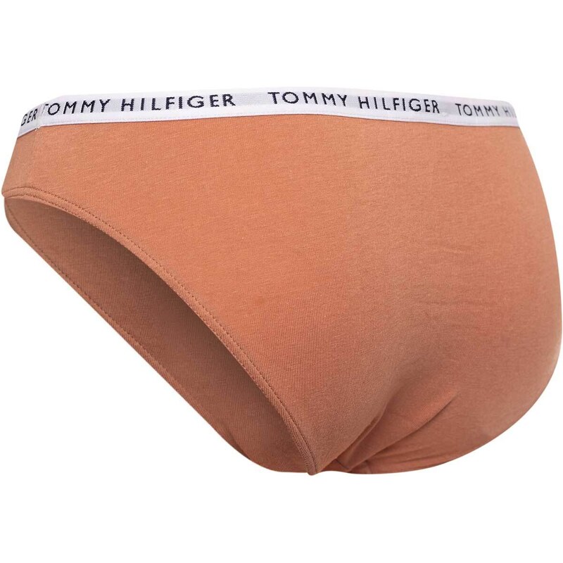 3PACK dámské kalhotky Tommy Hilfiger vícebarevné