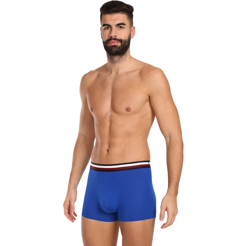 3PACK pánské boxerky Tommy Hilfiger vícebarevné (UM0UM03035 0UG)