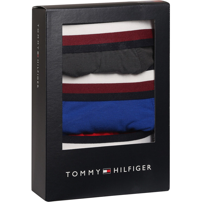 3PACK pánské boxerky Tommy Hilfiger vícebarevné (UM0UM03035 0UG)