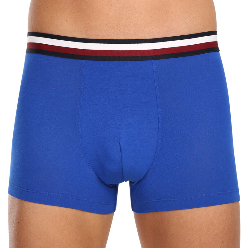 3PACK pánské boxerky Tommy Hilfiger vícebarevné (UM0UM03035 0UG)