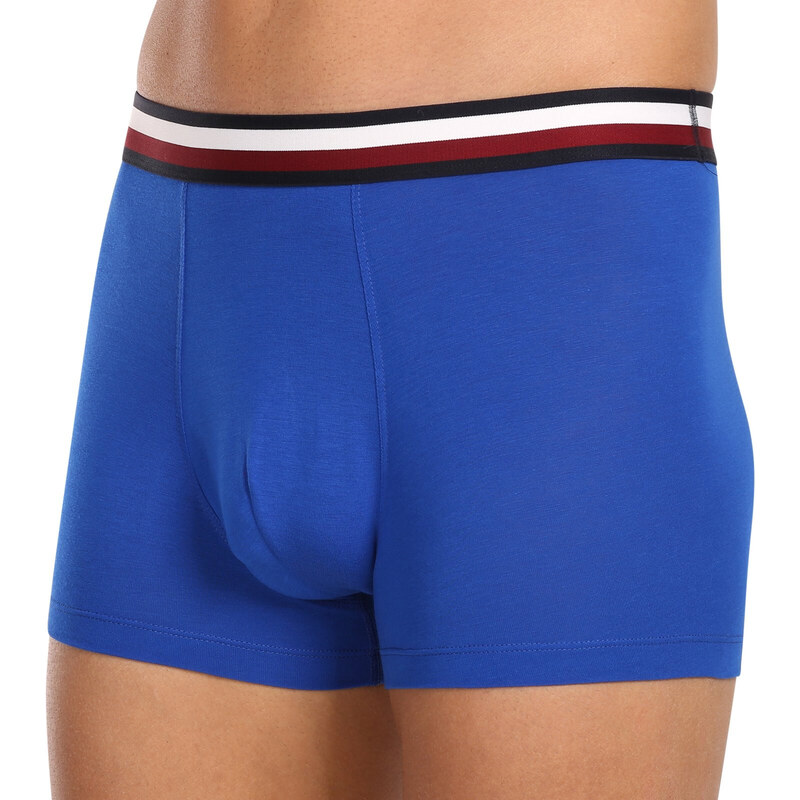 3PACK pánské boxerky Tommy Hilfiger vícebarevné (UM0UM03035 0UG)