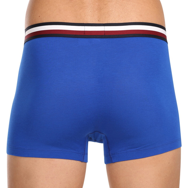 3PACK pánské boxerky Tommy Hilfiger vícebarevné (UM0UM03035 0UG)