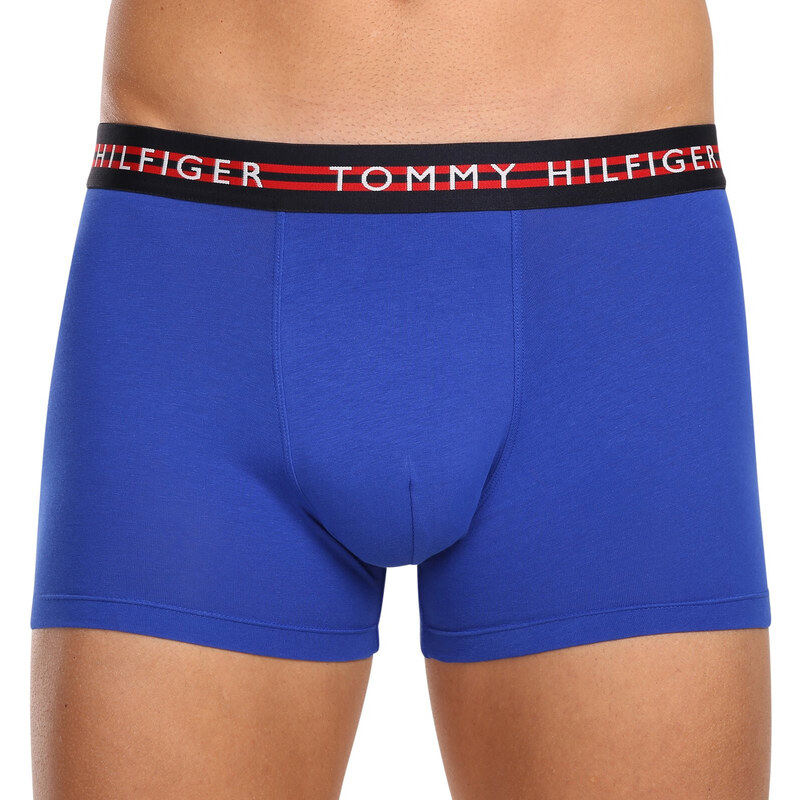 3PACK pánské boxerky Tommy Hilfiger vícebarevné (UM0UM03007 0UF)