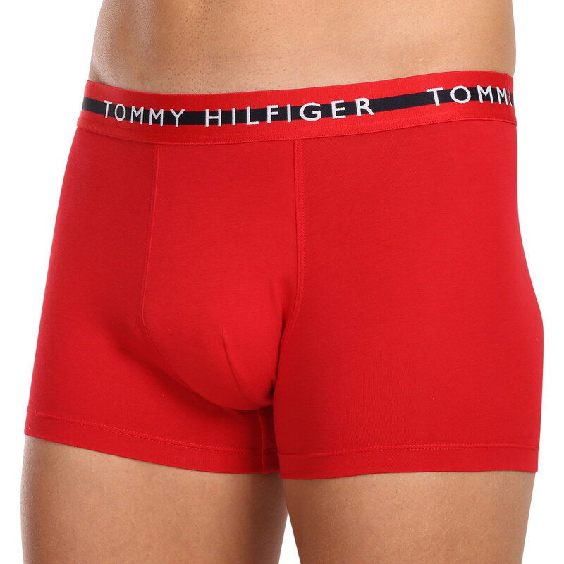 3PACK pánské boxerky Tommy Hilfiger vícebarevné (UM0UM03007 0X0)