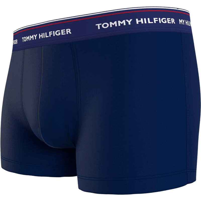 Tommy Hilfiger Spodky UM0UM016420Y0 Navy Blue