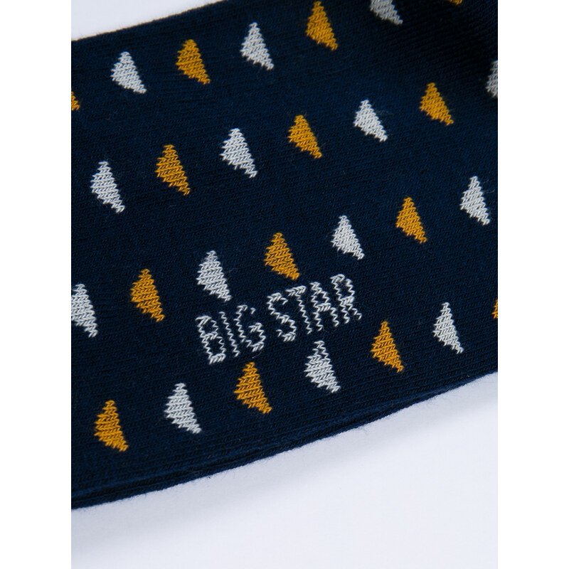 Big Star Man's Long Socks 210477 403