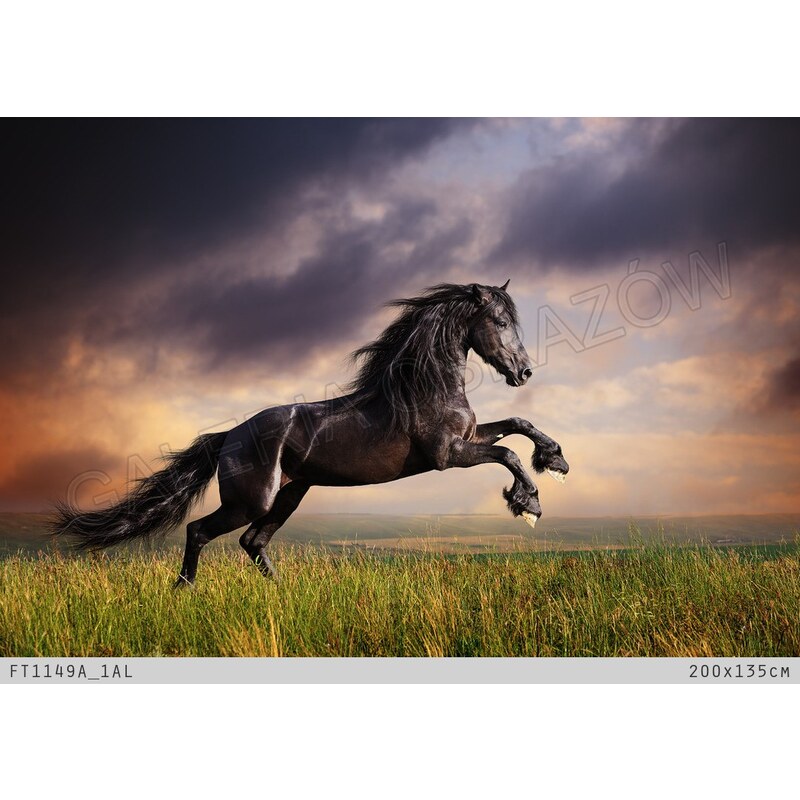ART Fototapeta 200x135 cm kůň