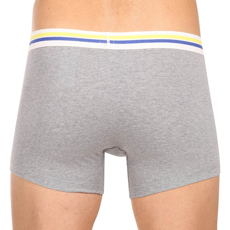 2PACK pánské boxerky Levis vícebarevné (701222843 009)