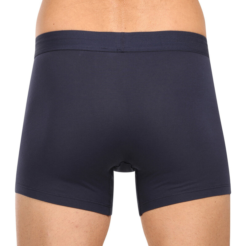 2PACK pánské boxerky Levis vícebarevné (701224650 001)