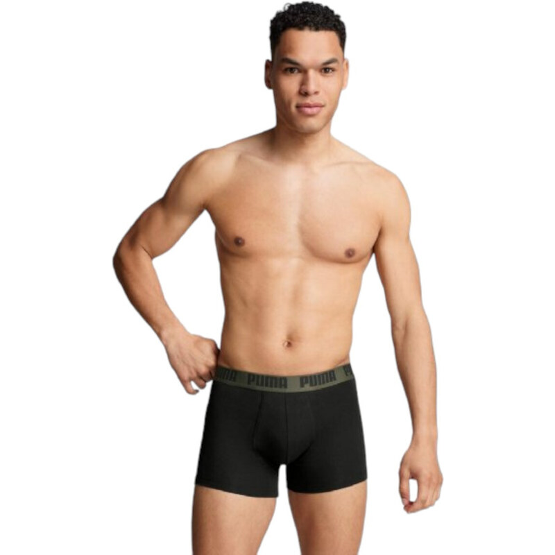 Puma basic boxer 2p brown