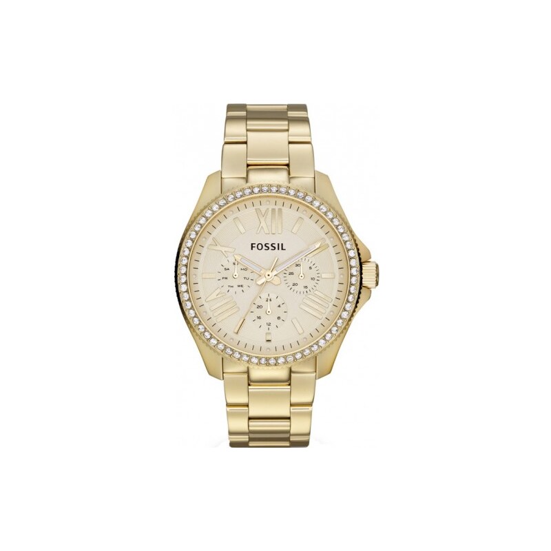 Fossil Cecile AM 4482