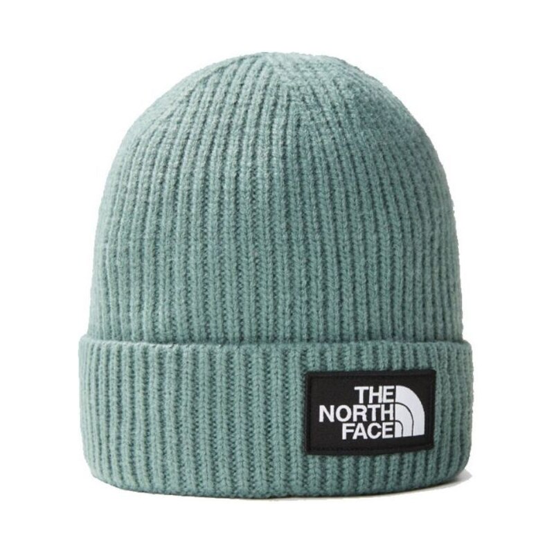 Zimní čepice THE NORTH FACE Box Logo Cuffed Beanie green