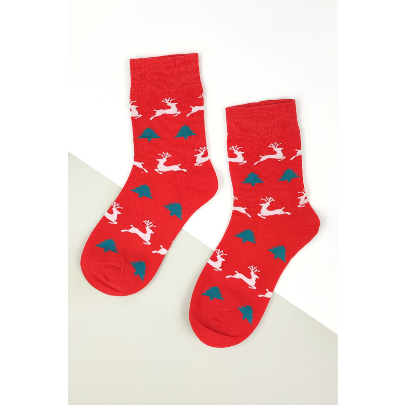 Emi Ross Vánoční ponožky ECC-2907-4