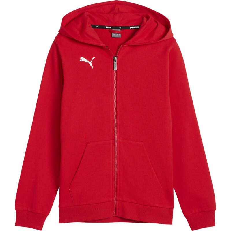 Mikina s kapucí Puma teamGOAL Casuals Hoodie Kids 658596-01