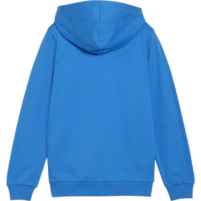 Mikina s kapucí Puma teamGOAL Casuals Hoodie Kids 658596-02