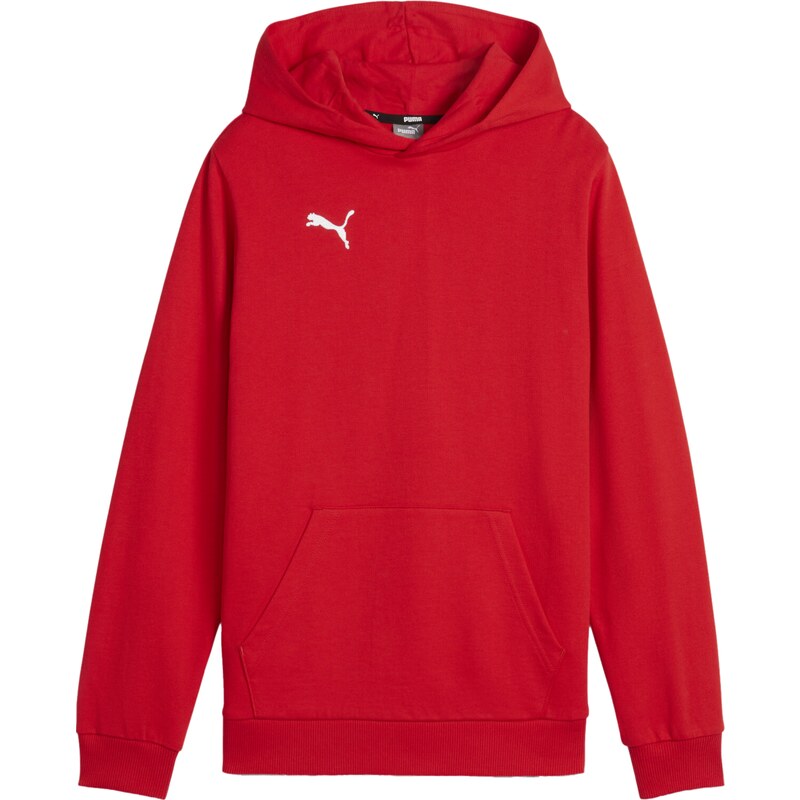 Mikina s kapucí Puma teamGOAL Casuals Hoody Kids 658619-01