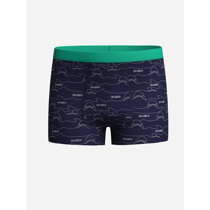 LC Waikiki Printed Boy Boxer 3-pack