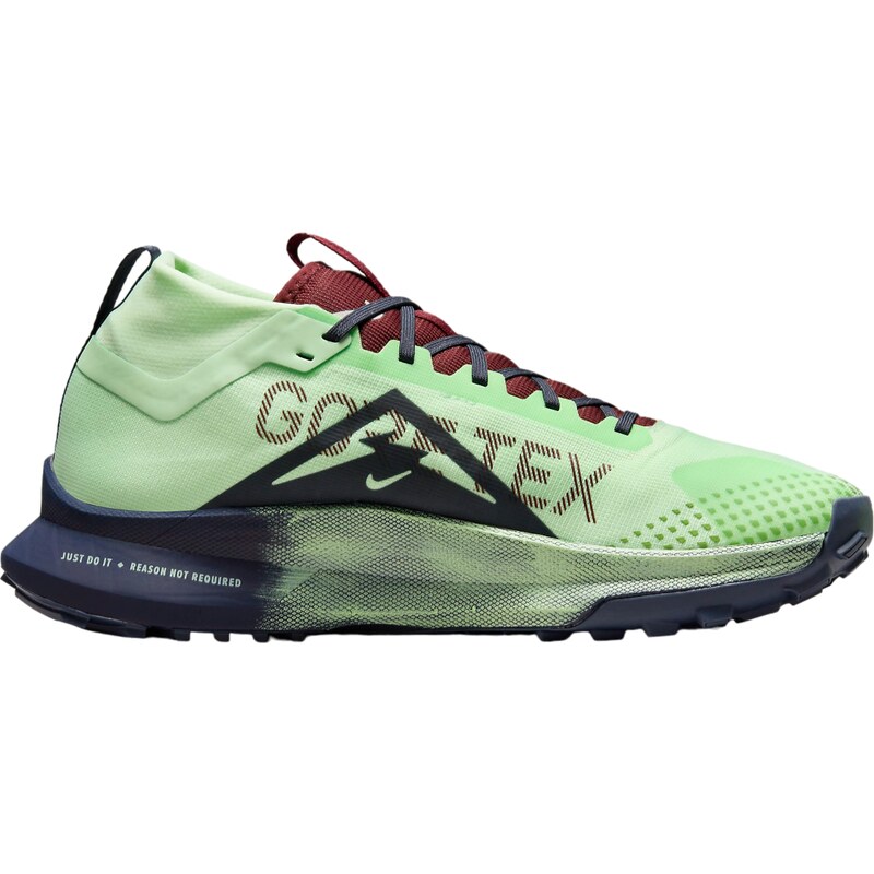 Trailové boty Nike Pegasus Trail 4 GORE-TEX dj7926-303