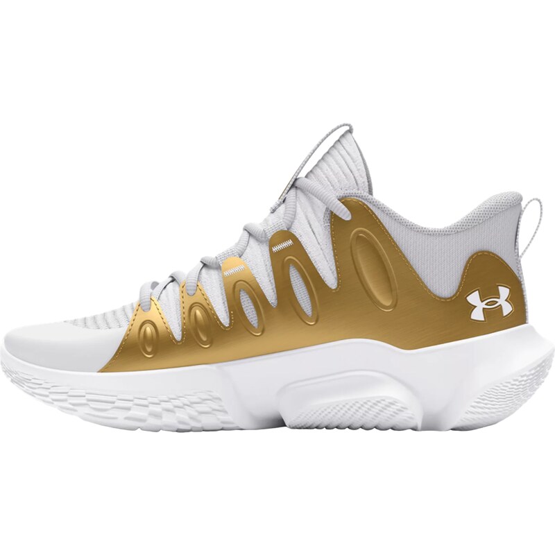 Basketbalové boty Under Armour UA W FLOW BREAKTHRU 4 3026641-113