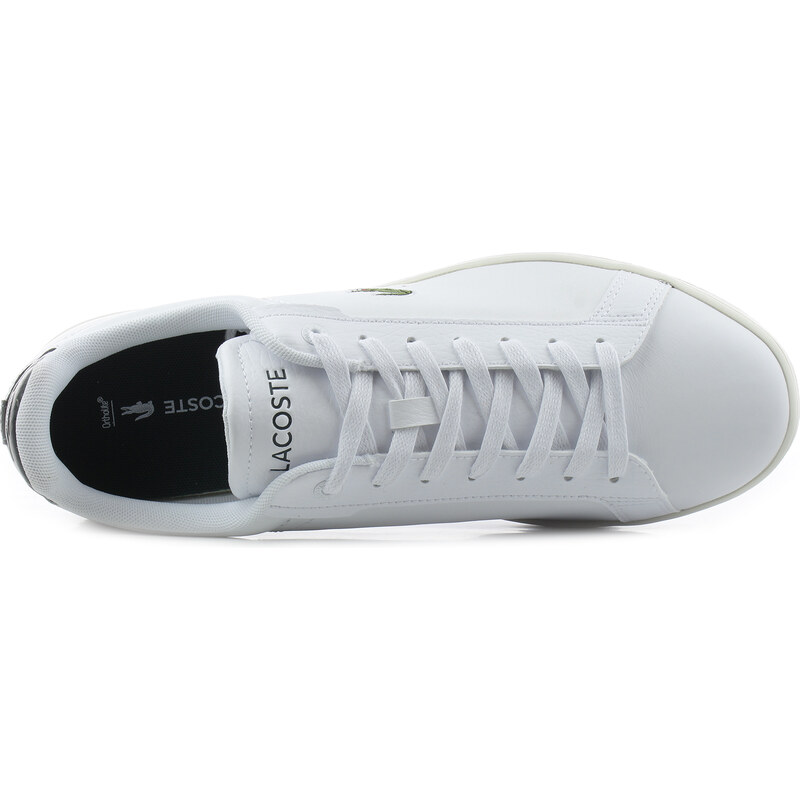 Lacoste Carnaby Evo