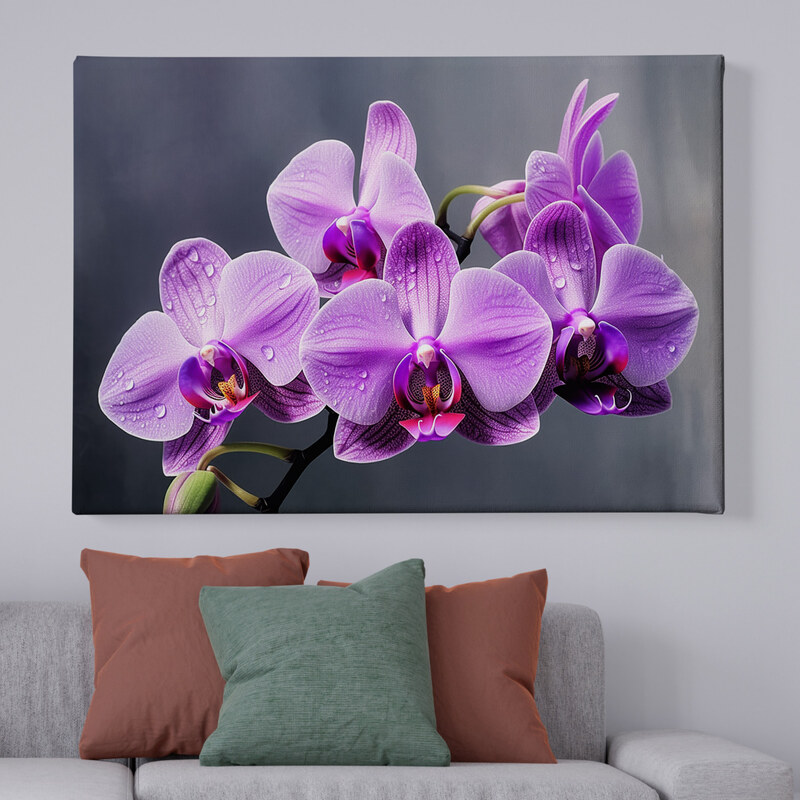 Obraz na plátně - Květ fialová orchidej FeelHappy.cz