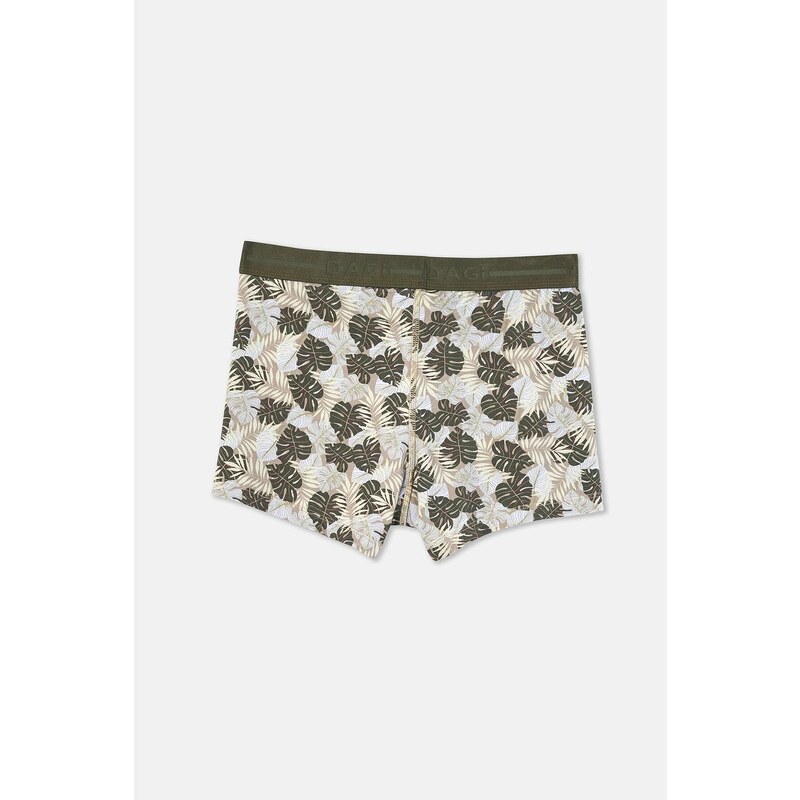 Dagi Dark Green 2-Pack Cotton Patterned Boxer