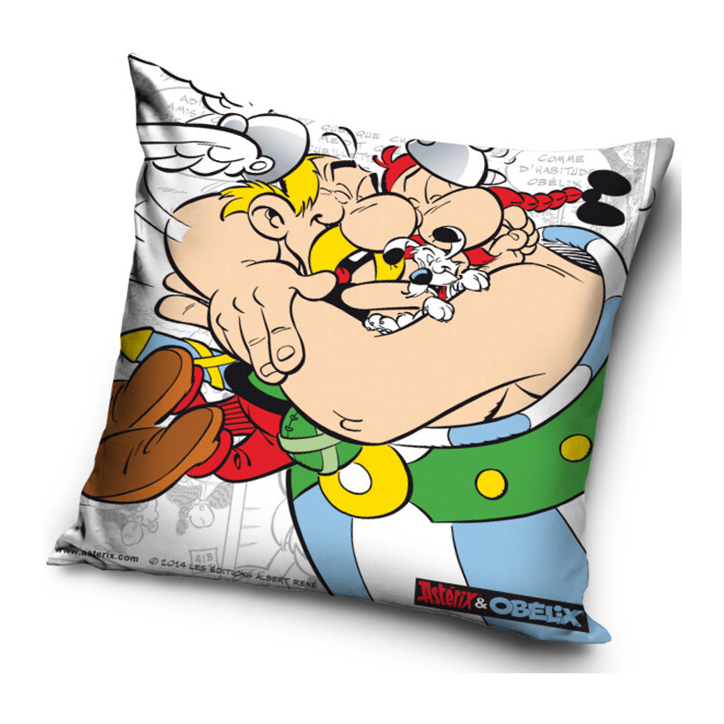 Polštářek Asterix a Obelix Friends