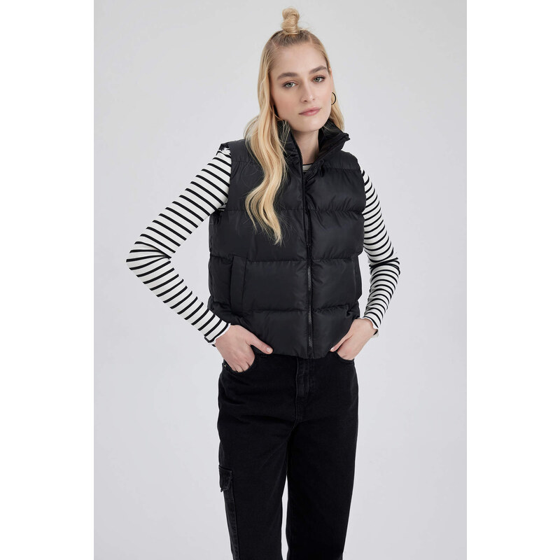 DEFACTO Regular Fit Vest