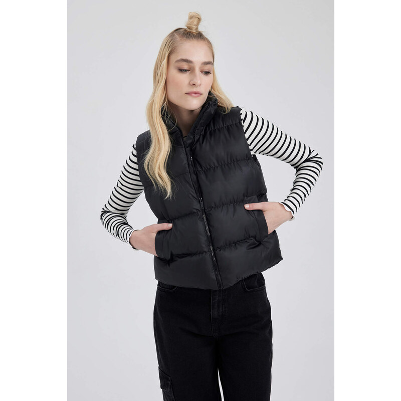 DEFACTO Regular Fit Vest