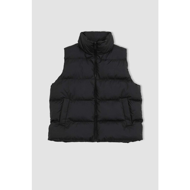 DEFACTO Regular Fit Vest