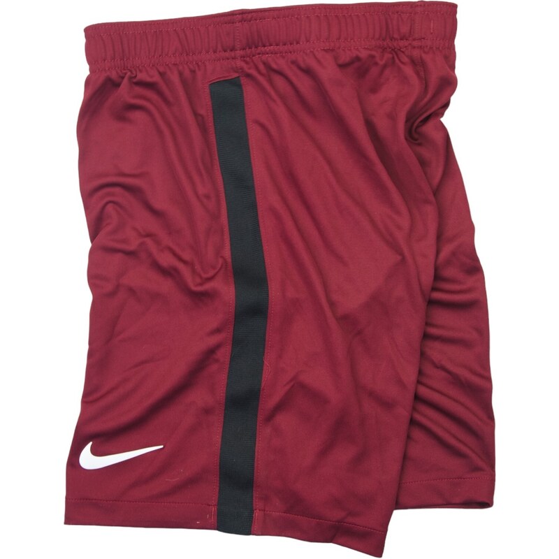 Šortky Nike SFZ M SHORT GK PR cd8374-677