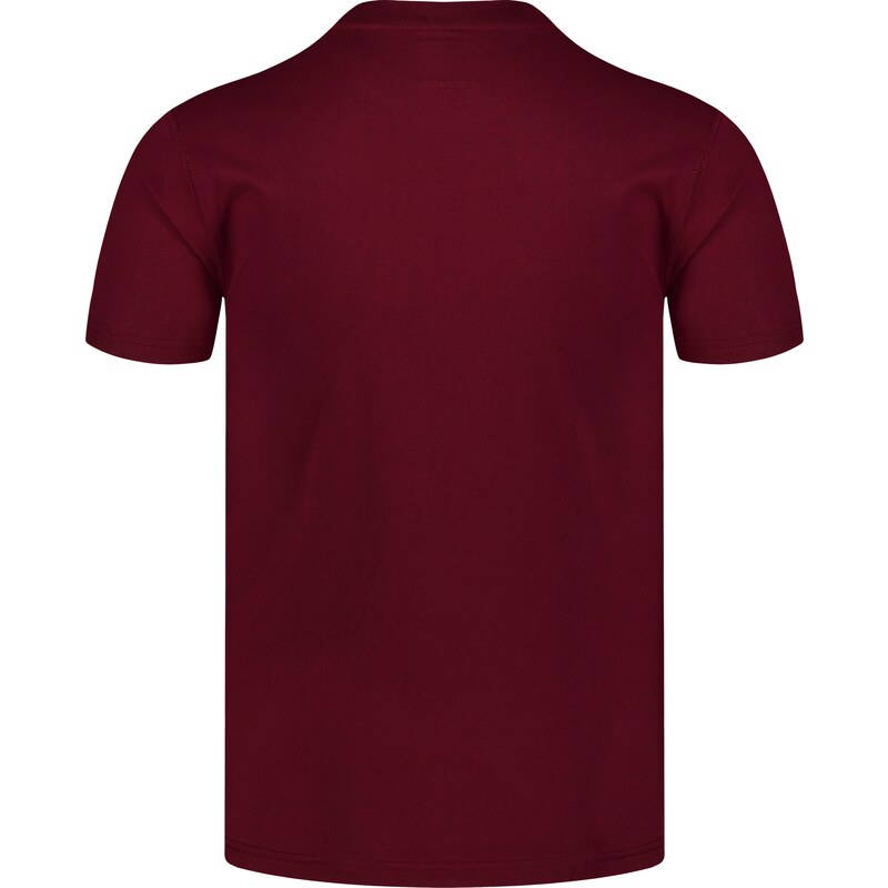 Nordblanc Vínové pánské bavlněné tričko MOUNTAINS