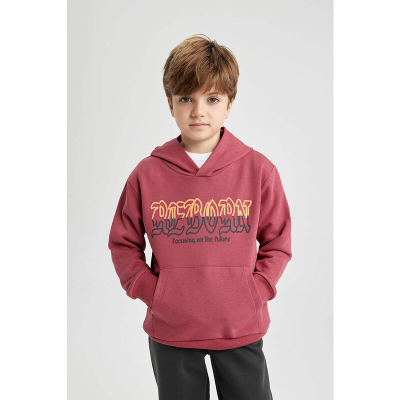 DEFACTO Regular Fit Hooded Sweatshirt