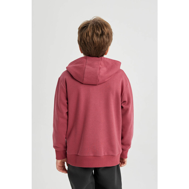 DEFACTO Regular Fit Hooded Sweatshirt