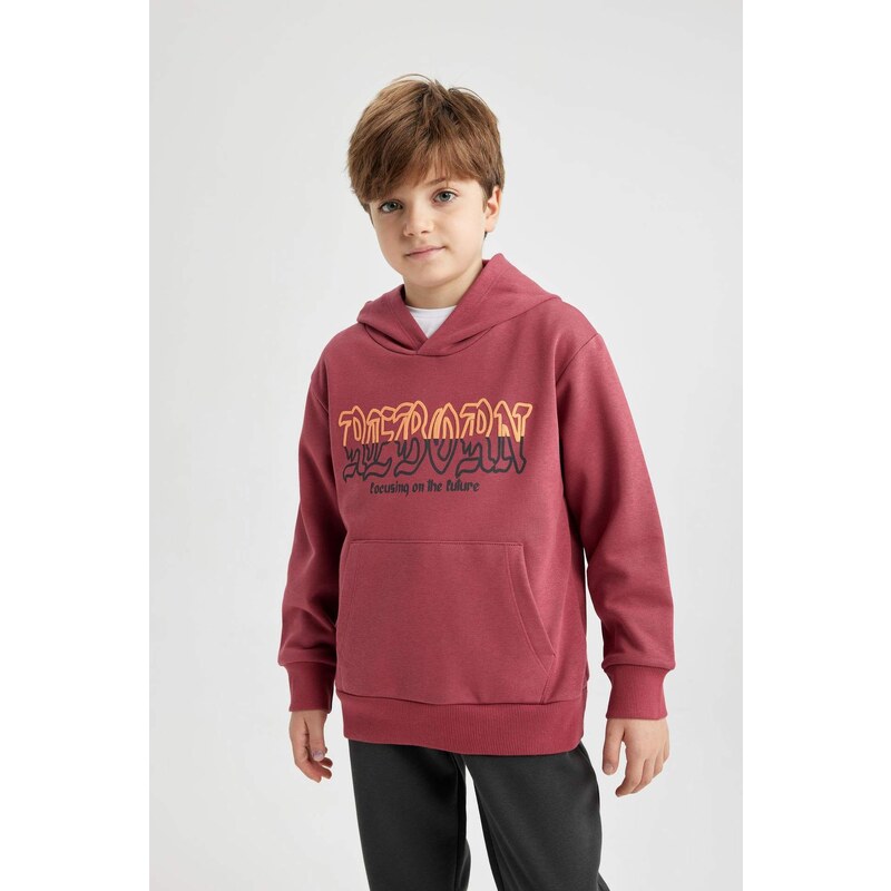 DEFACTO Regular Fit Hooded Sweatshirt