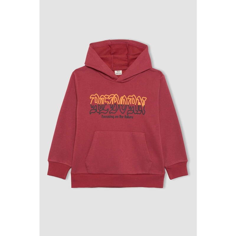 DEFACTO Regular Fit Hooded Sweatshirt