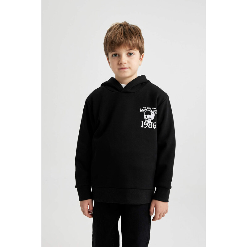 DEFACTO Boy Hooded Printed Thick Sweatshirt