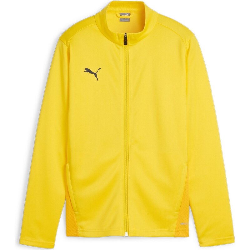 Bunda Puma teamGOAL Training Jacket Jr 658634-07