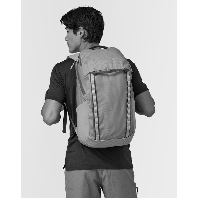 Patagonia Black Hole Pack 32L PFGD