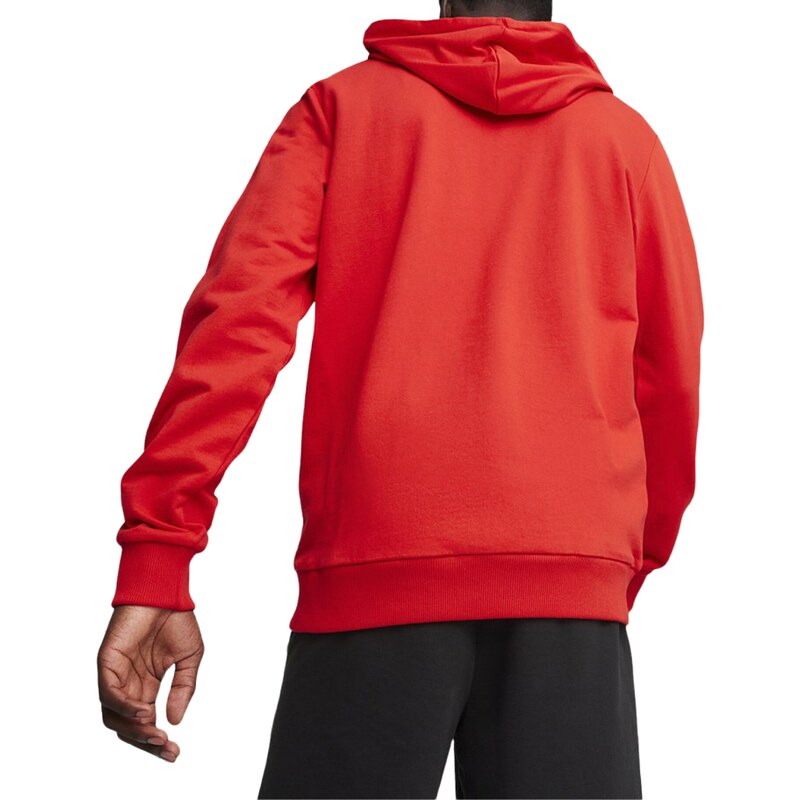 Mikina s kapucí Puma teamGOAL Casuals Hooded Jacket 658595-01