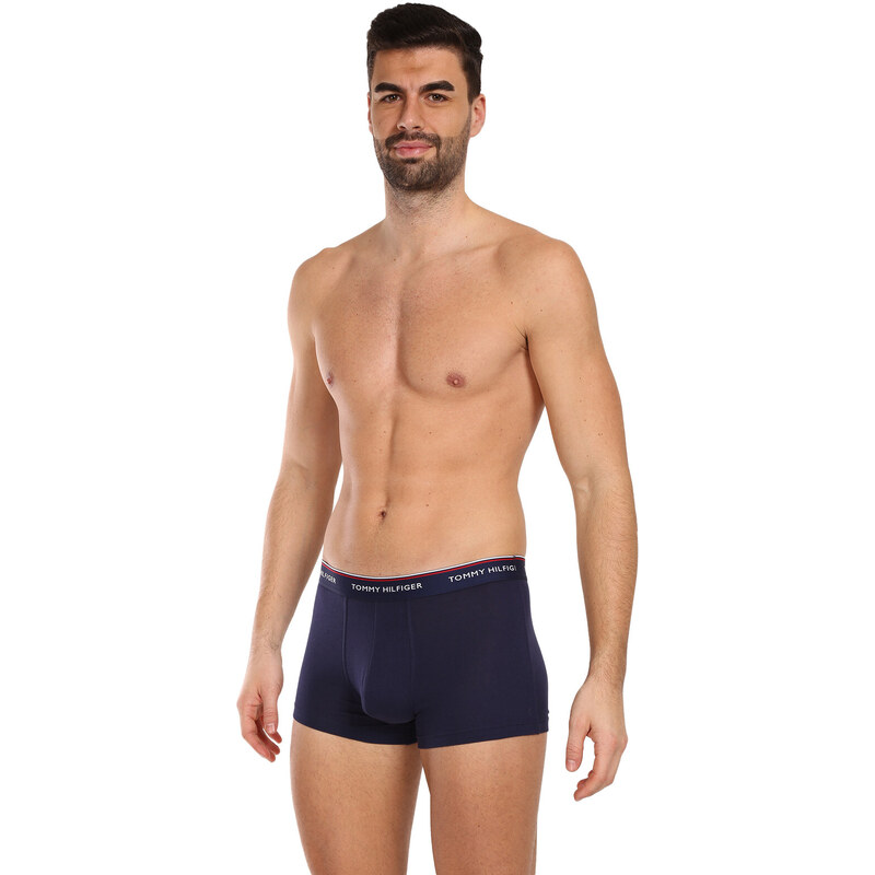 3PACK pánské boxerky Tommy Hilfiger vícebarevné (1U87903842 611)