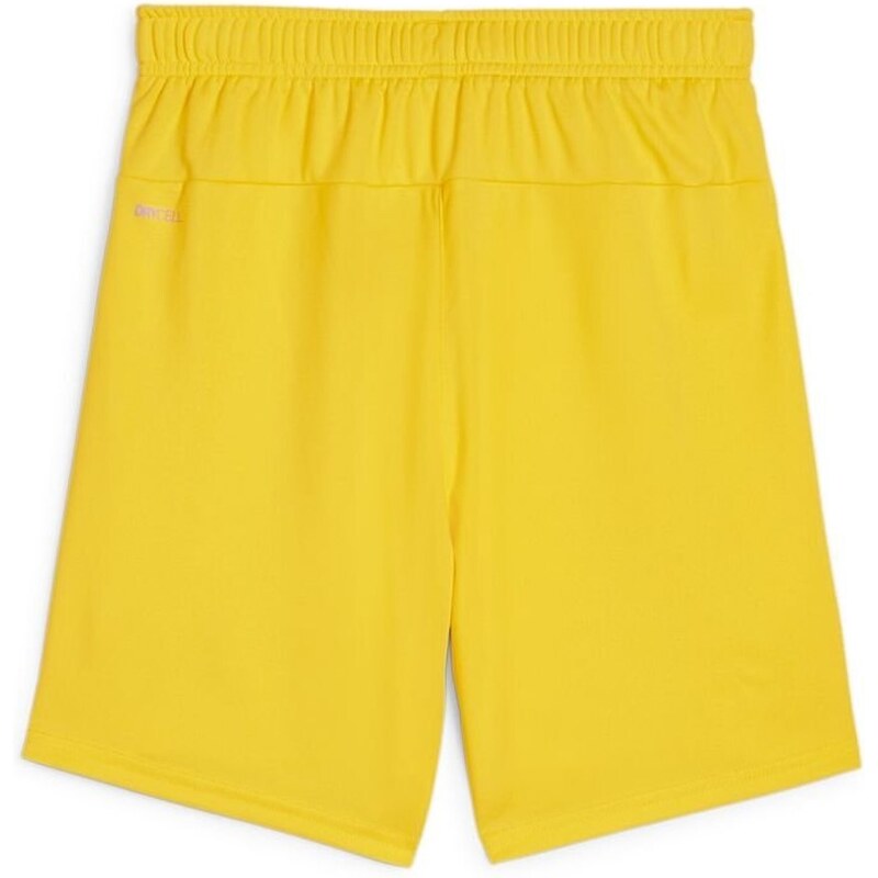 Šortky Puma teamGOAL Short Jr 705753-07