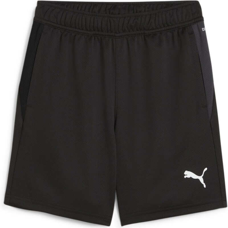 Šortky Puma teamGOAL Training Short Jr 658644-03