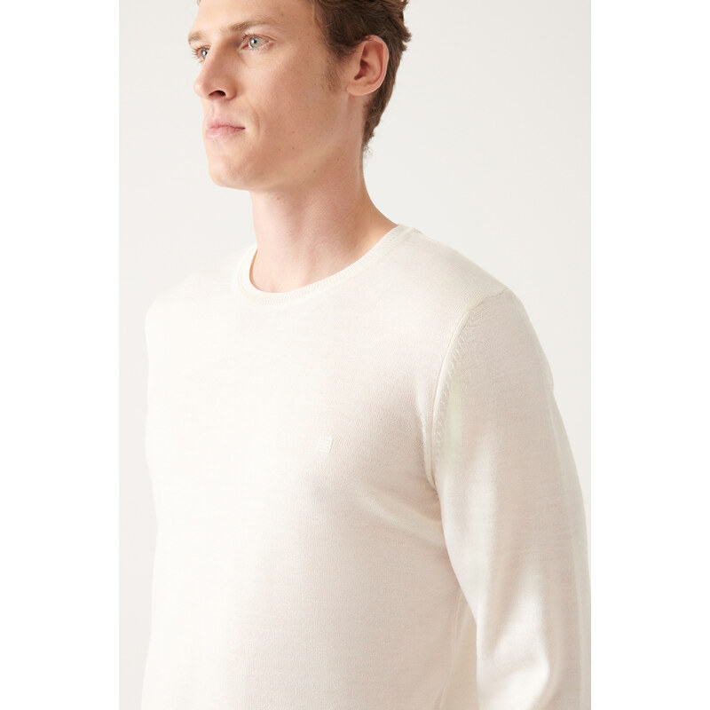 Avva Men's White Crew Neck Wool Blended Regular Fit Knitwear Sweater