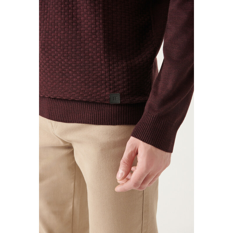 Avva Men's Burgundy Crew Neck Front Textured Regular Fit Knitwear Sweater