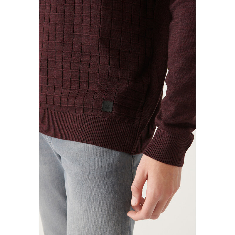 Avva Men's Burgundy Crew Neck Front Textured Regular Fit Knitwear Sweater